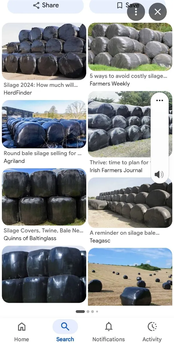 Silage - Image 1