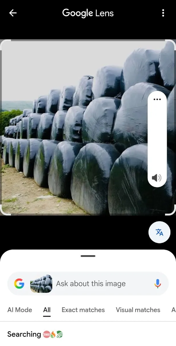 Silage - Image 2