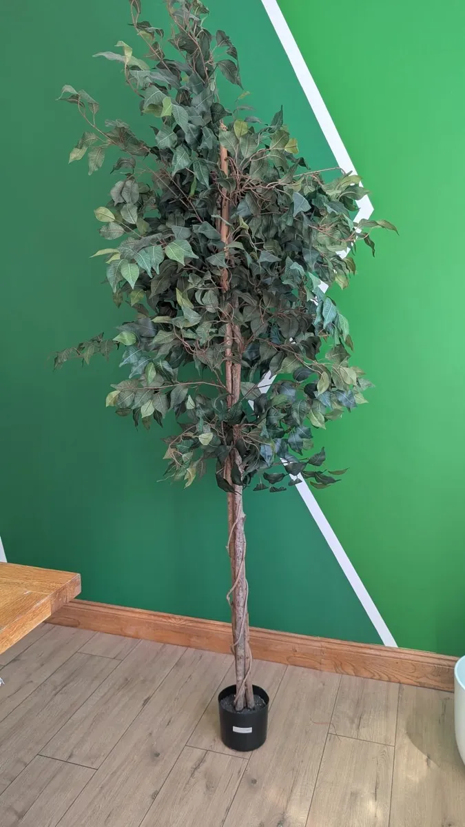 Fake Plant 6 Foot