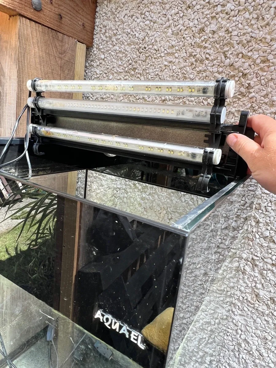 Aquarium for sale - Image 2