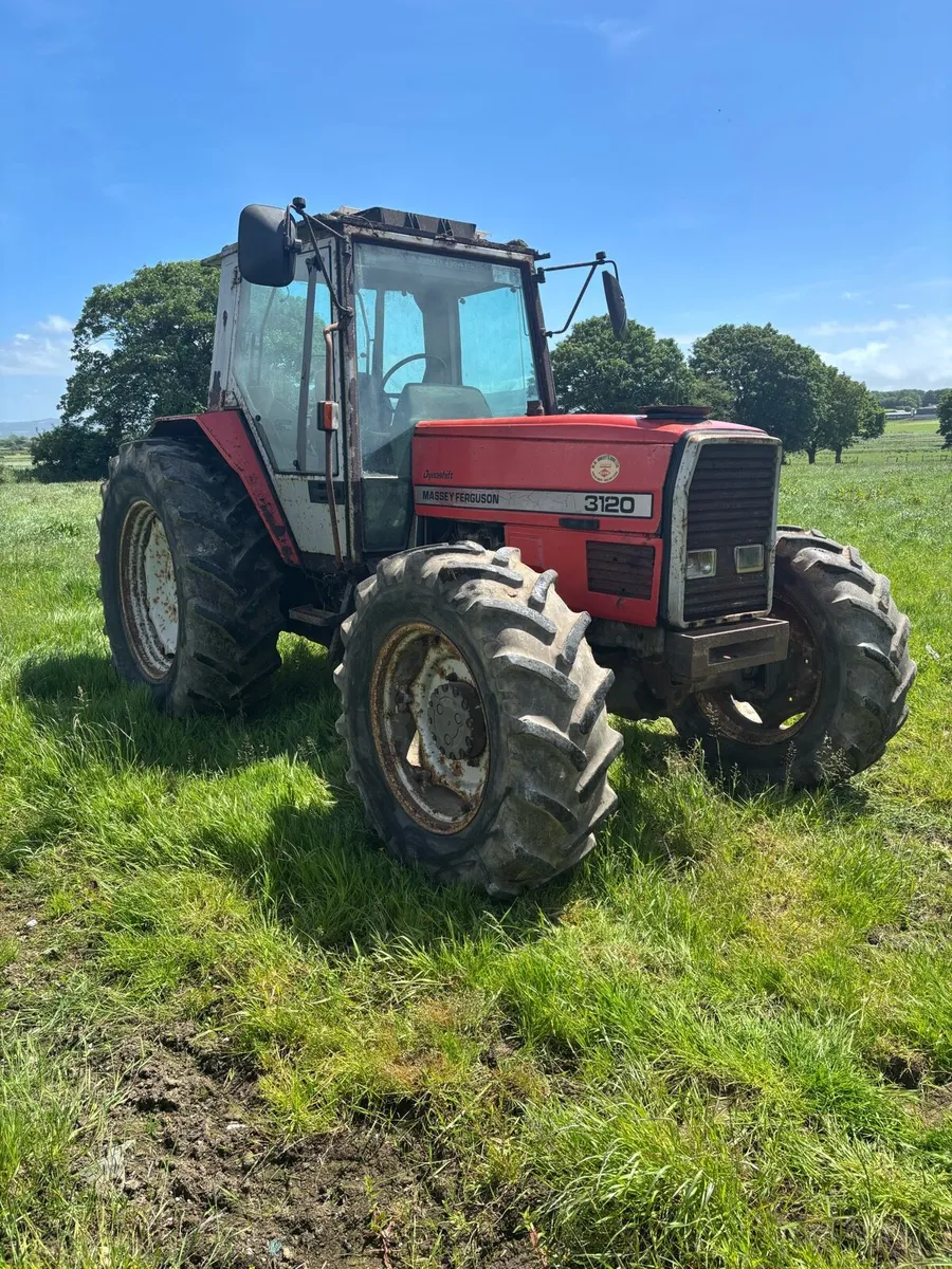 Massey Ferguson 3120 - Image 2