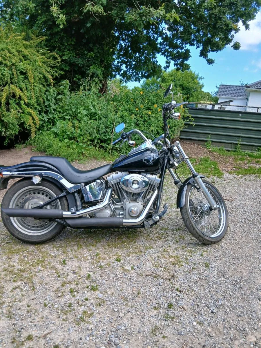 Harley Davidson - Image 1
