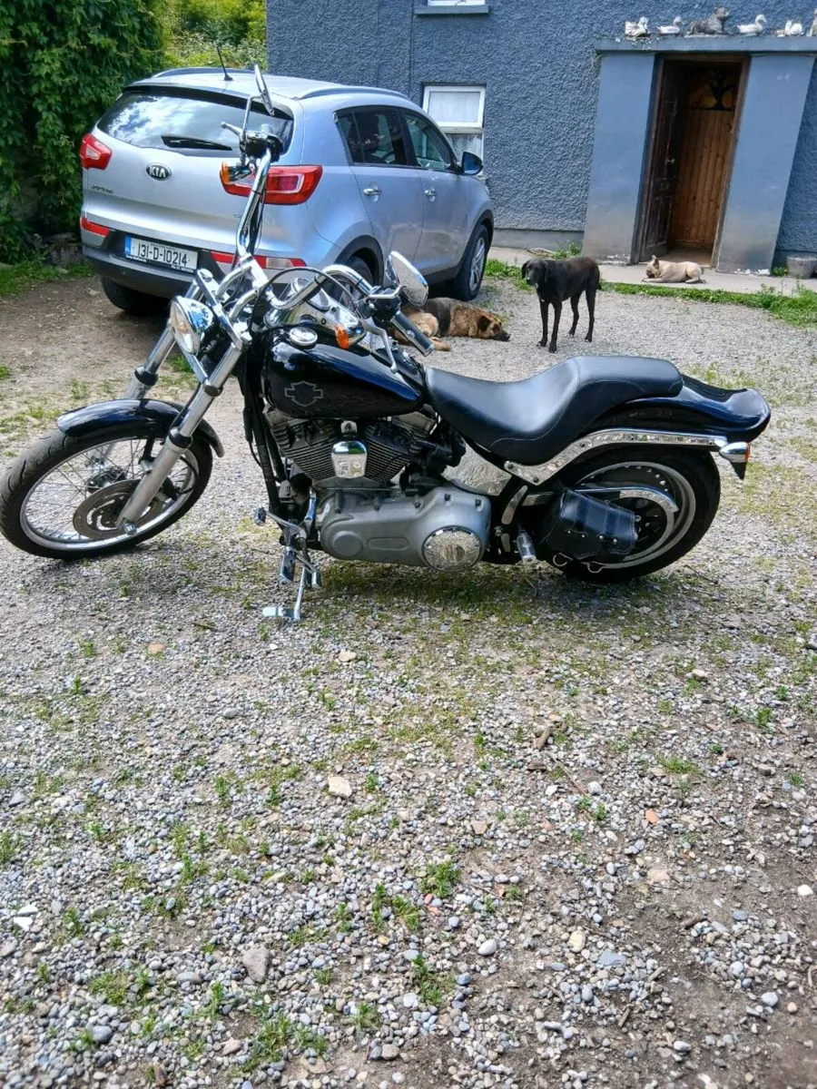 Harley Davidson - Image 2