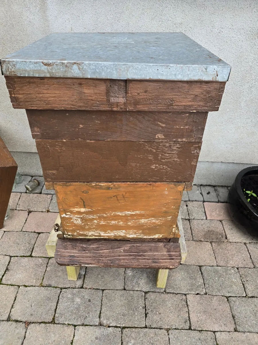 Bee hive empty. - Image 2