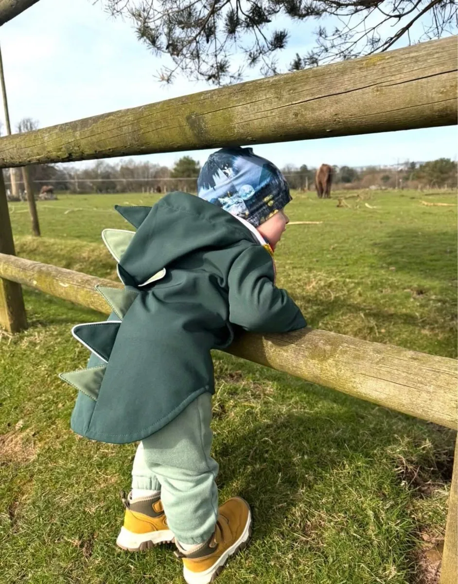 Dino Softshell jacket - Image 1