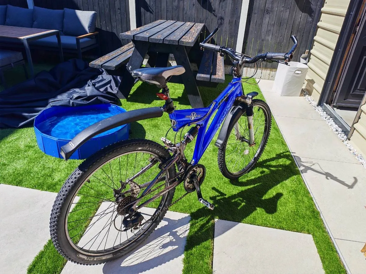 Young Adult Bike - Image 2
