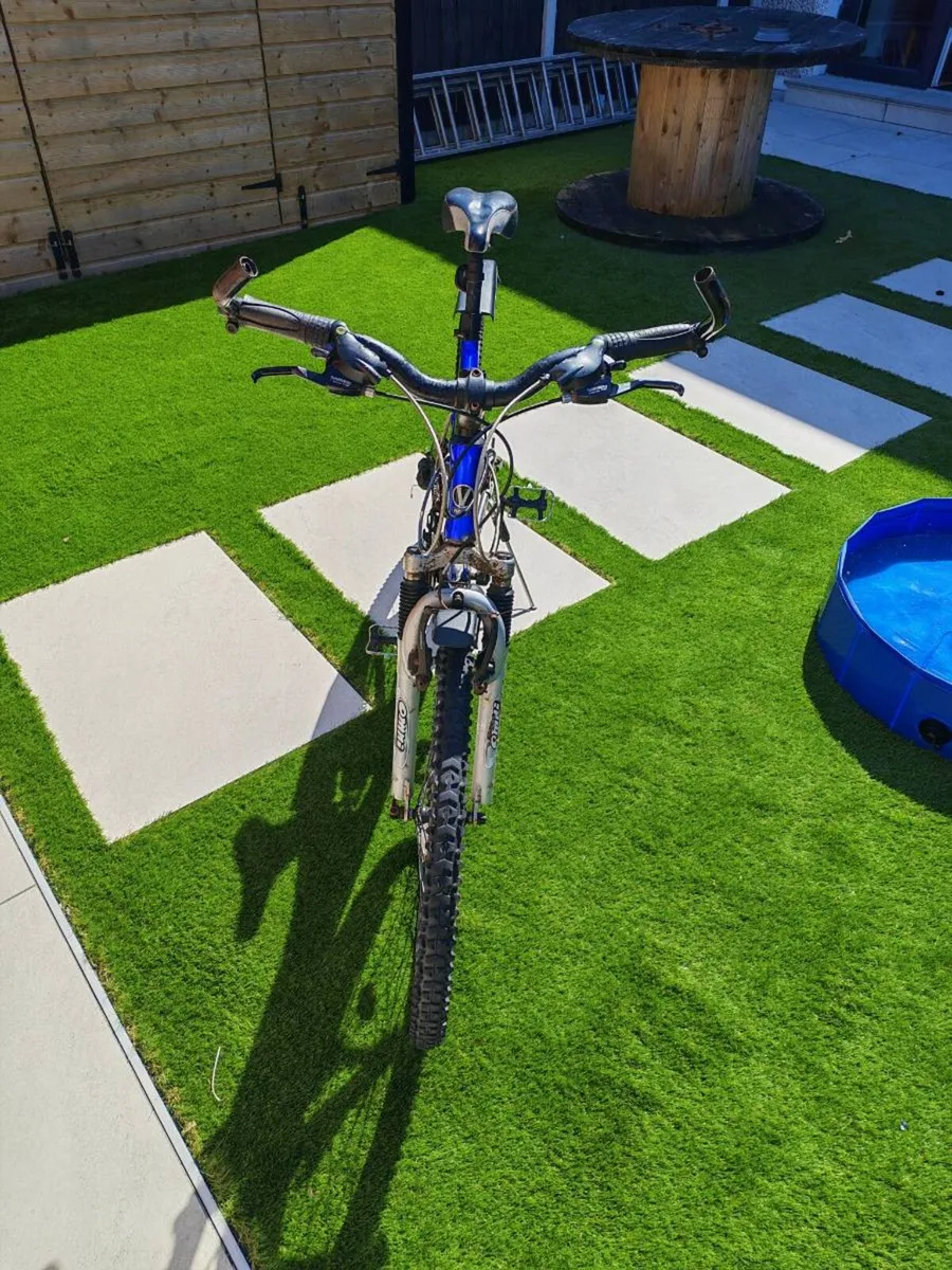 Young Adult Bike - Image 4