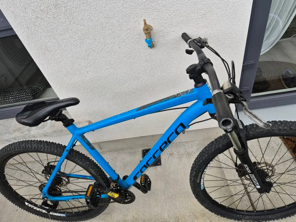 Carrera bike - Image 2