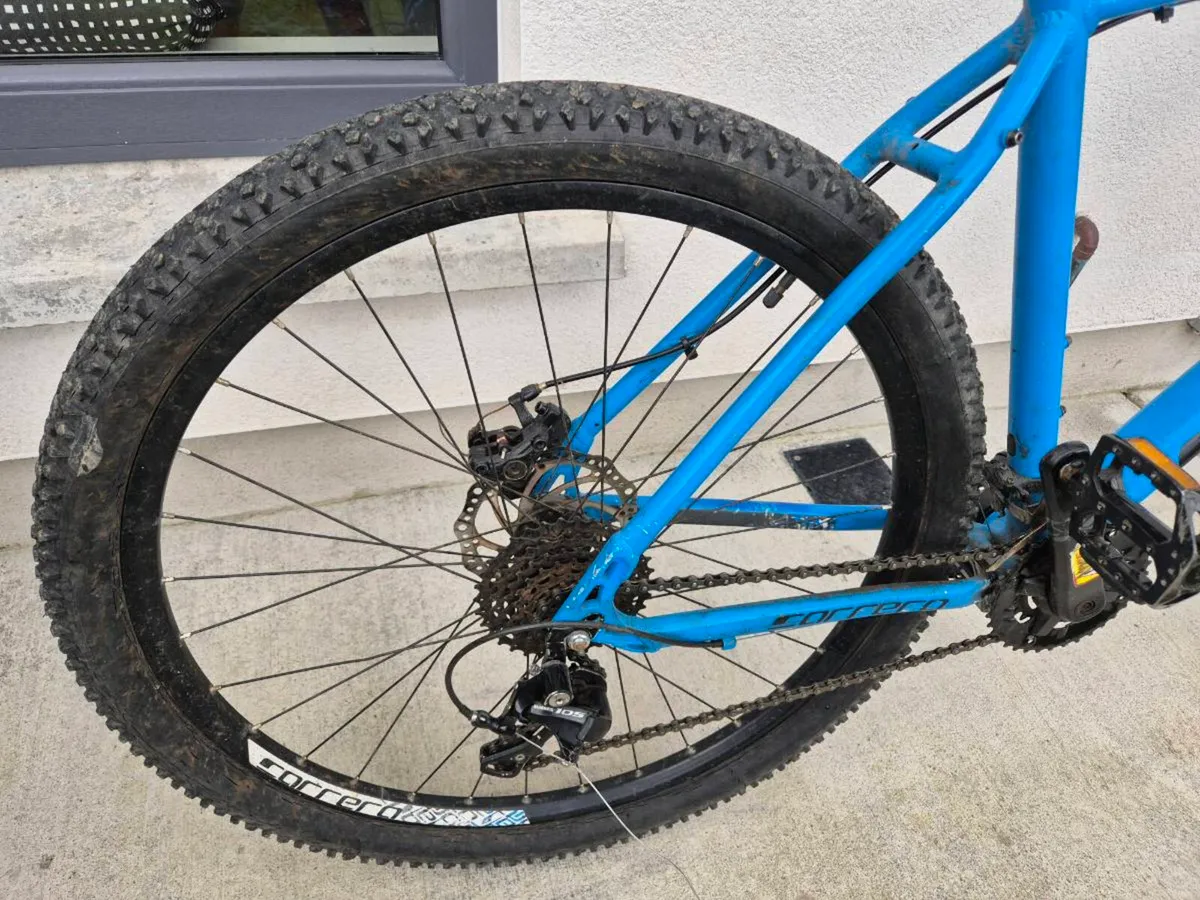 Carrera bike - Image 3