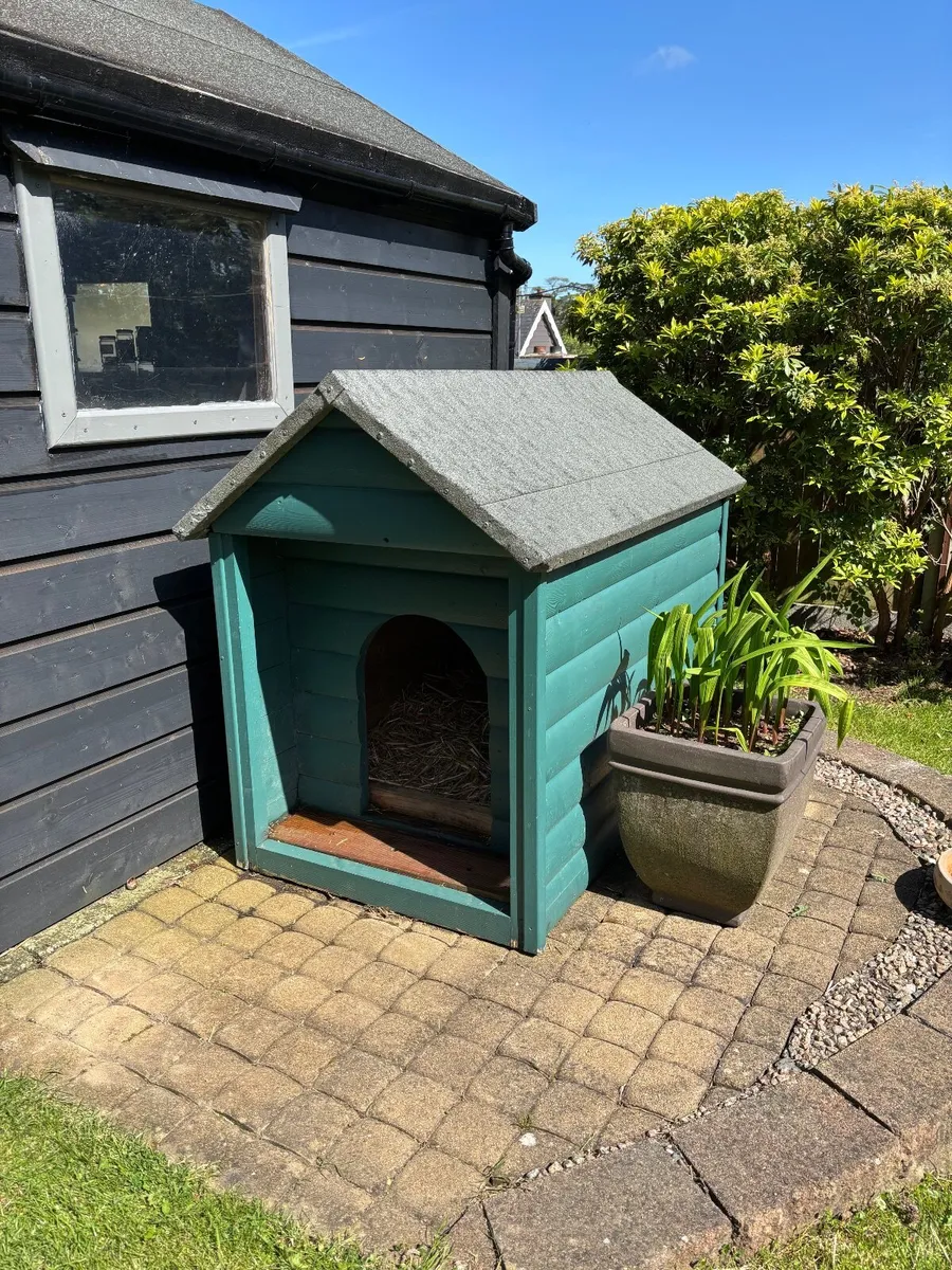 Dog House - Image 1