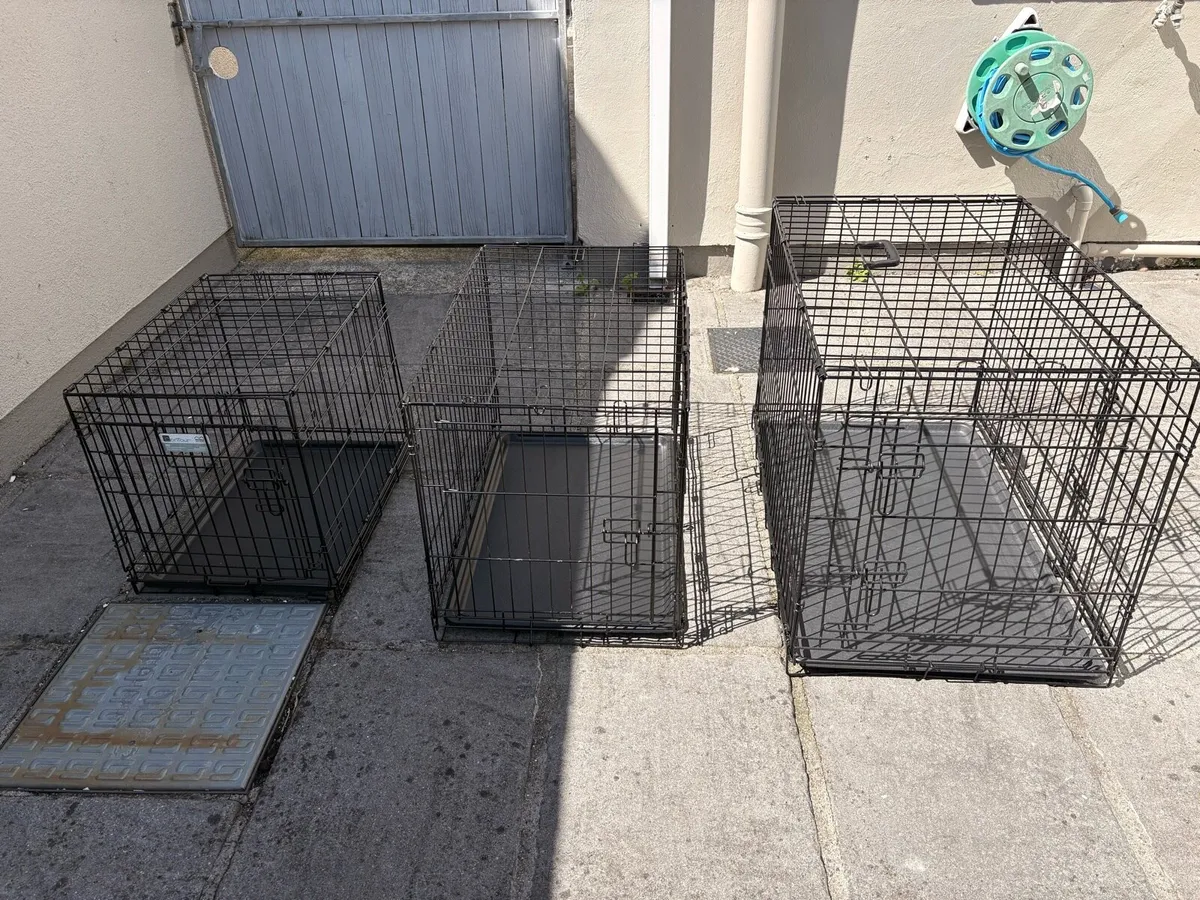 Dog Crates - Image 1