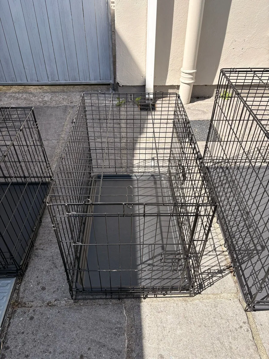Dog Crates - Image 3