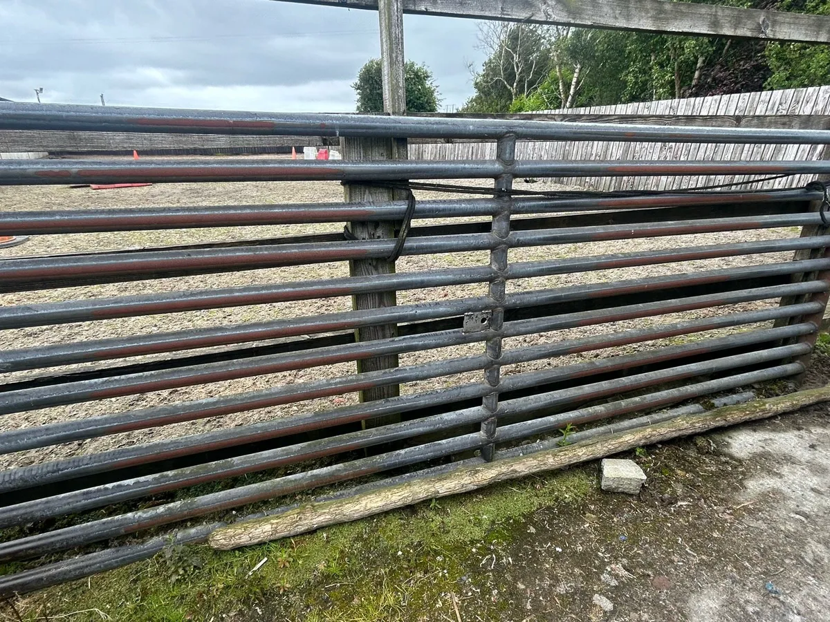 Cattle Grid - Image 2