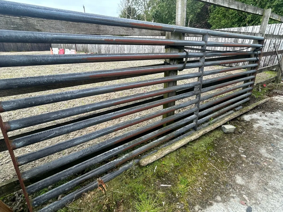 Cattle Grid - Image 1