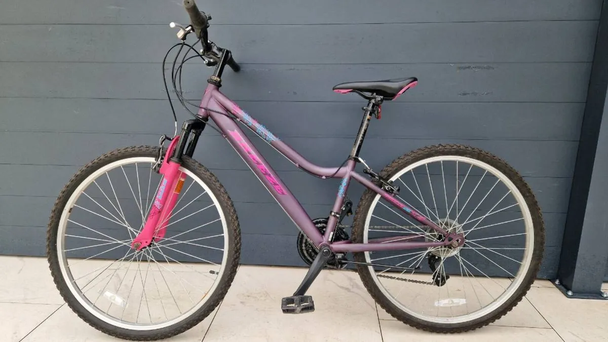 Tennage bike