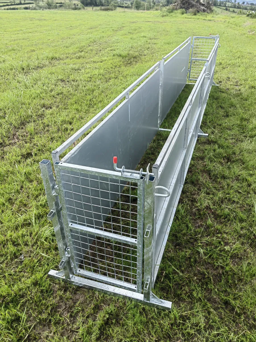 Leam Basic 16ft Sheep Race - Image 1