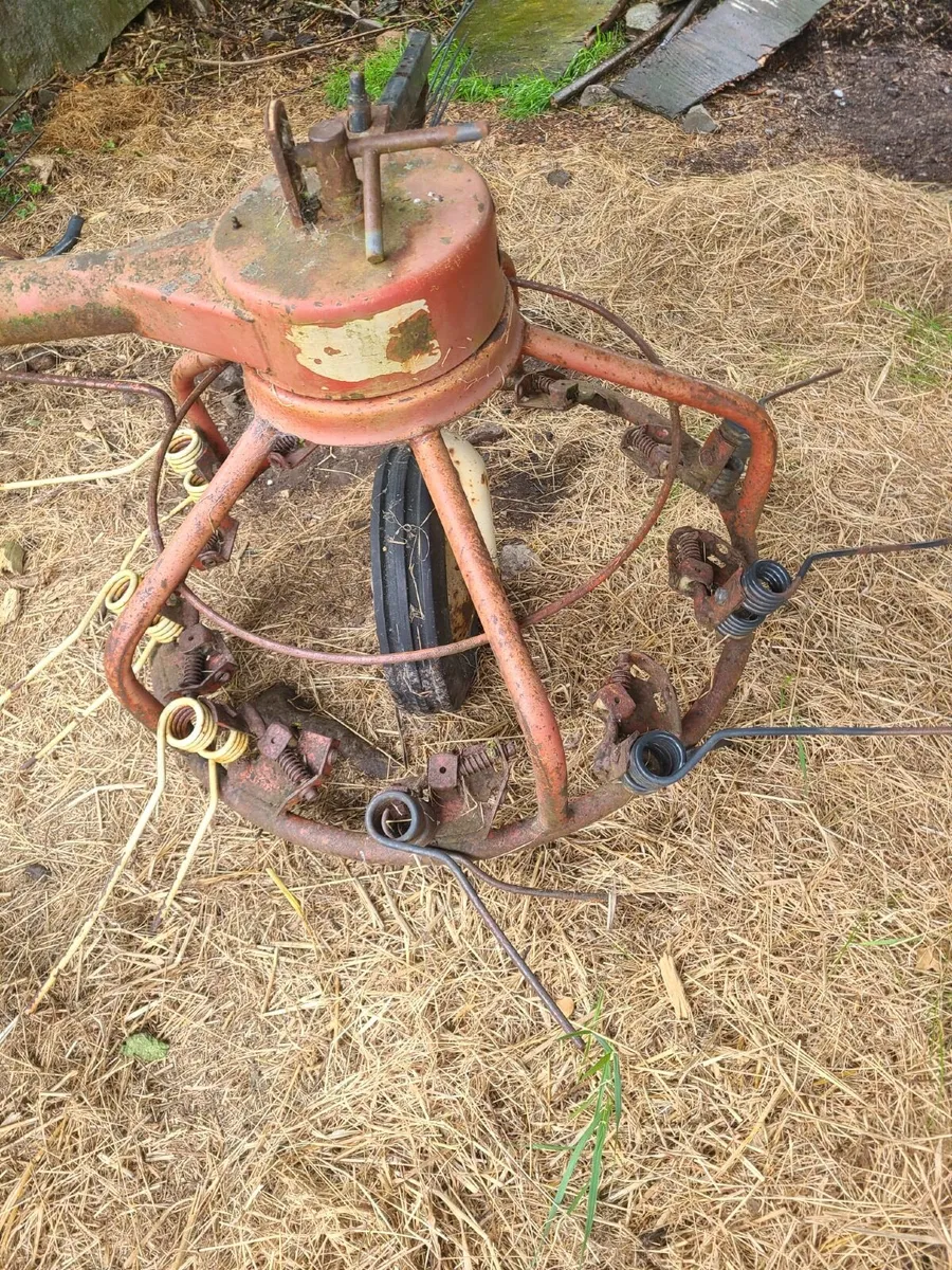 Haybob - Image 4