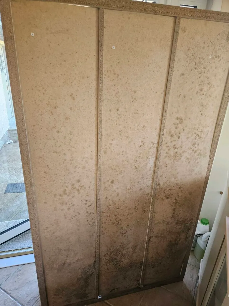 Free Bookshelf - Image 2