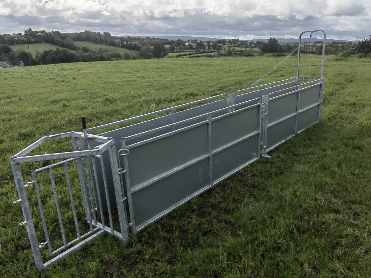 Leam Standard 16ft Sheep Race - Image 1