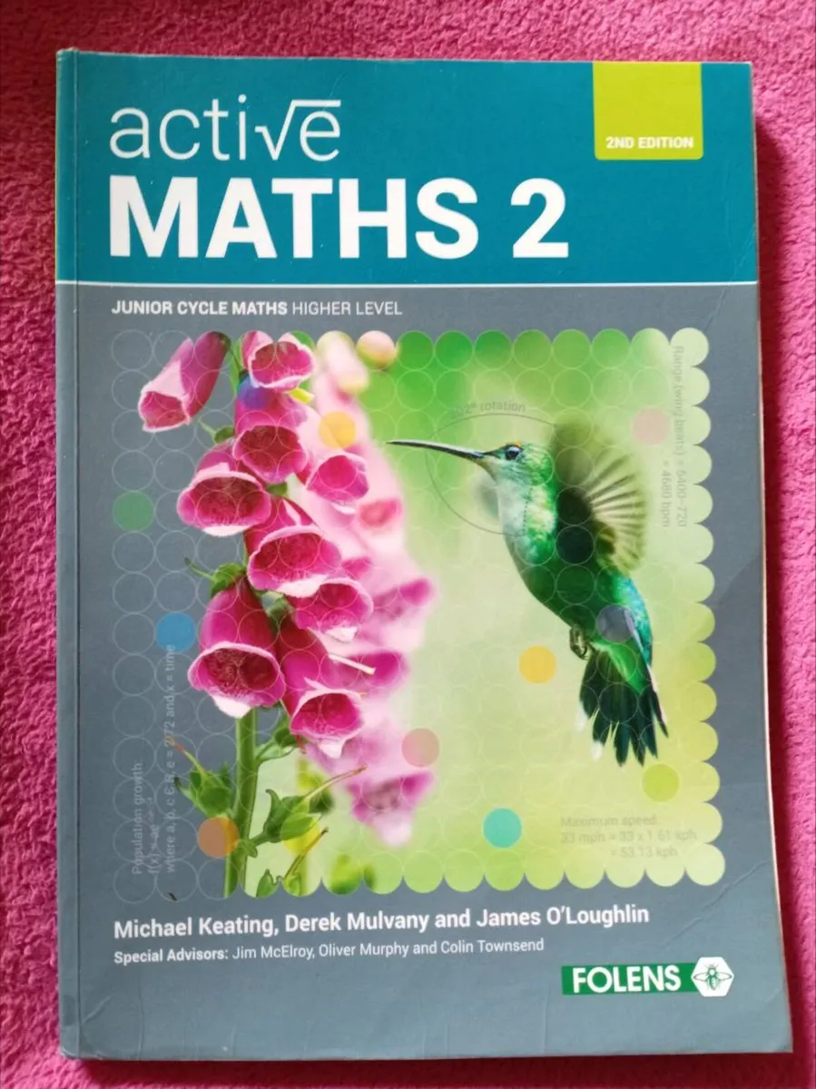 Maths Books - Junior Cert - Image 1