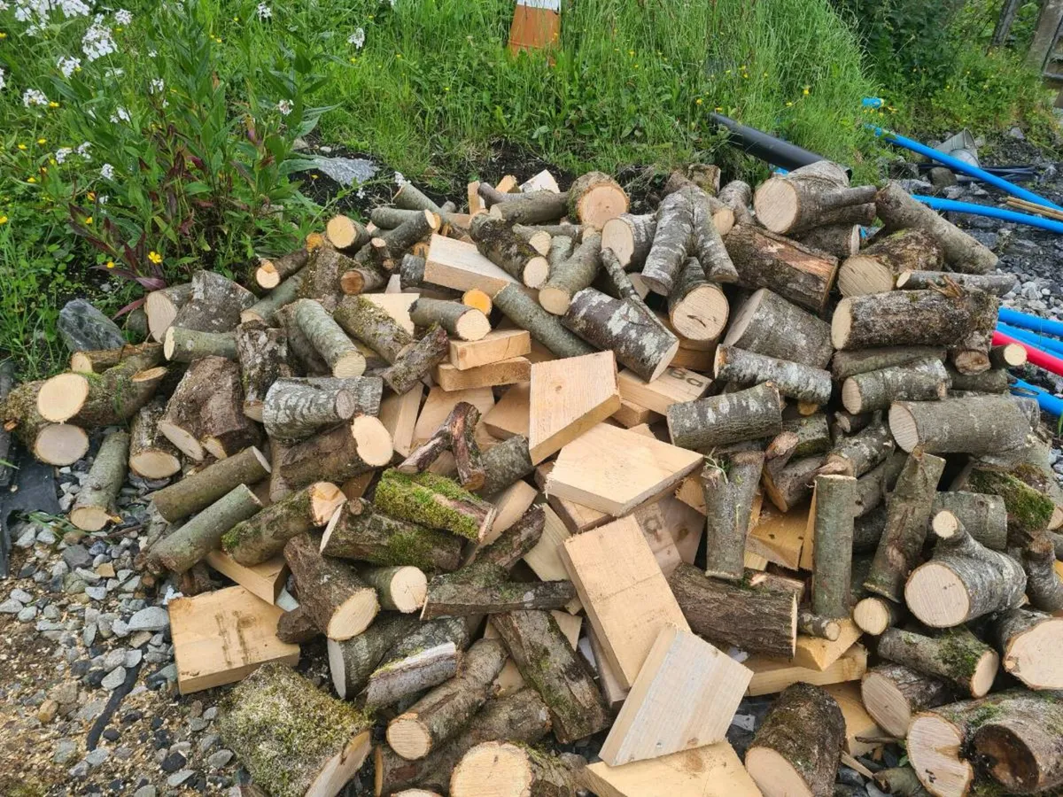 FIREWOOD - Image 3