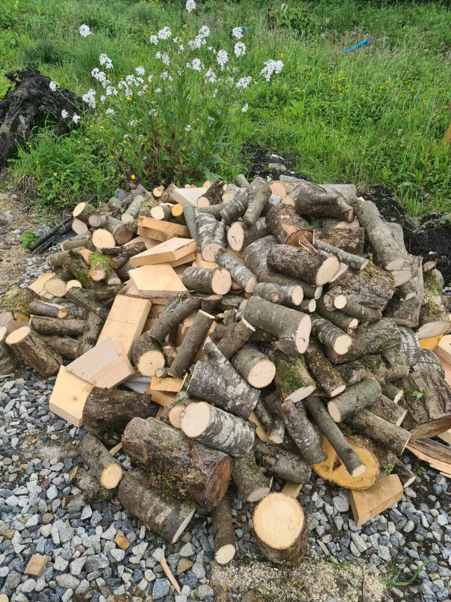 FIREWOOD - Image 4