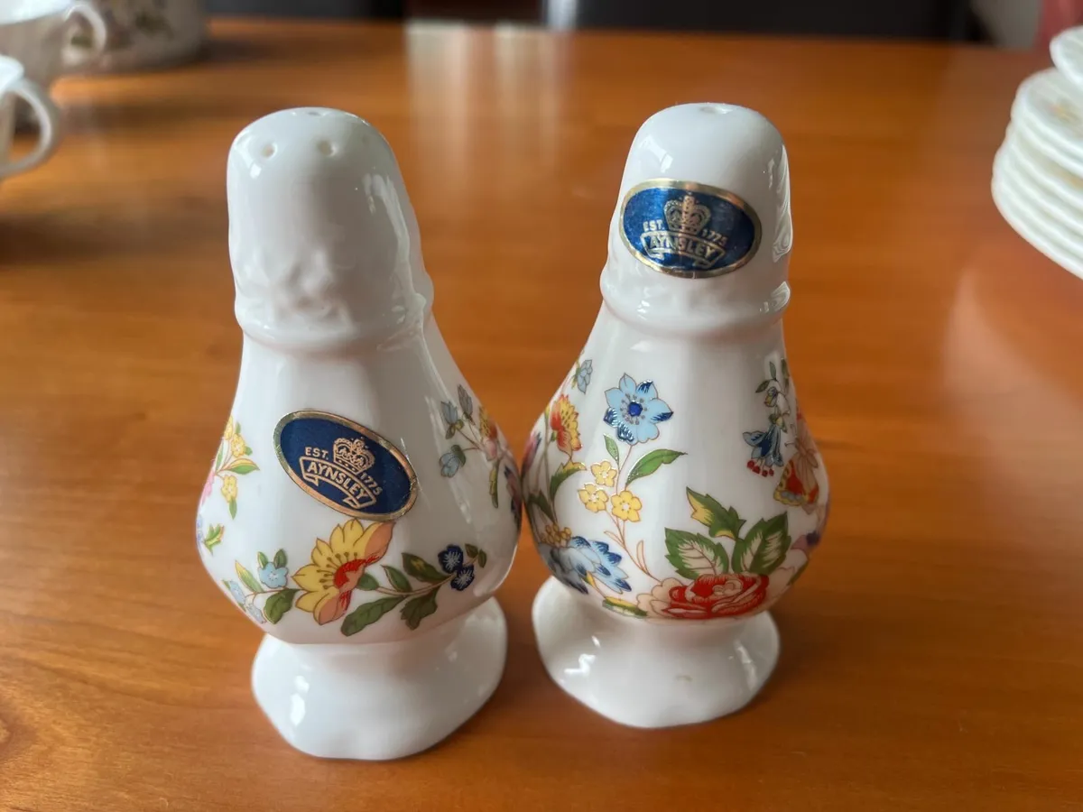 Aynsley Bone China Dinner/Tea Set with placemats - Image 4