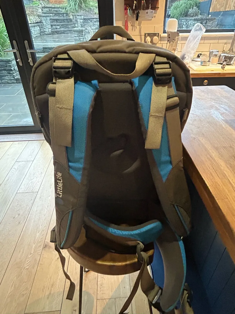Child Carrier Backpack - Image 3