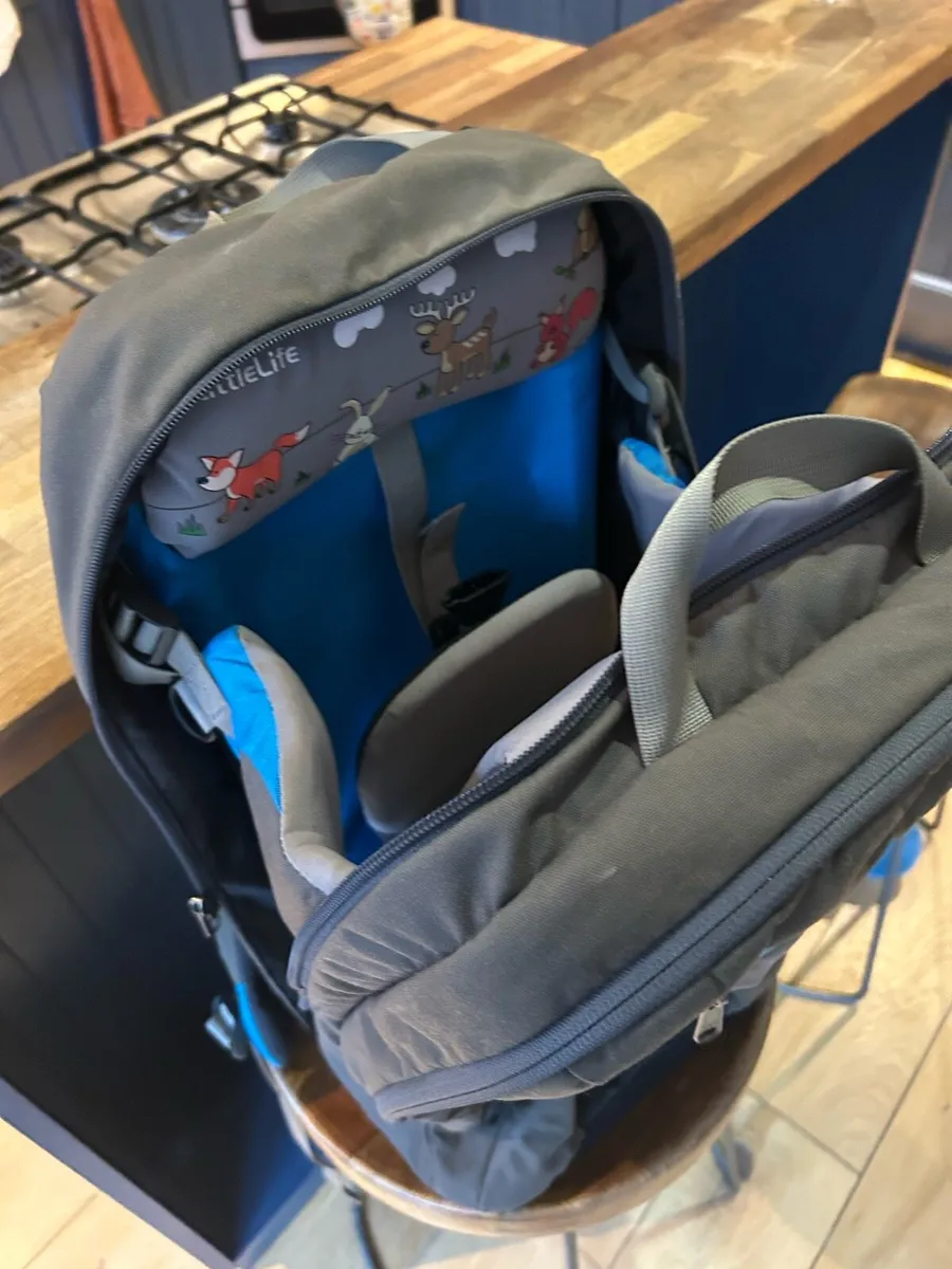 Child Carrier Backpack - Image 4