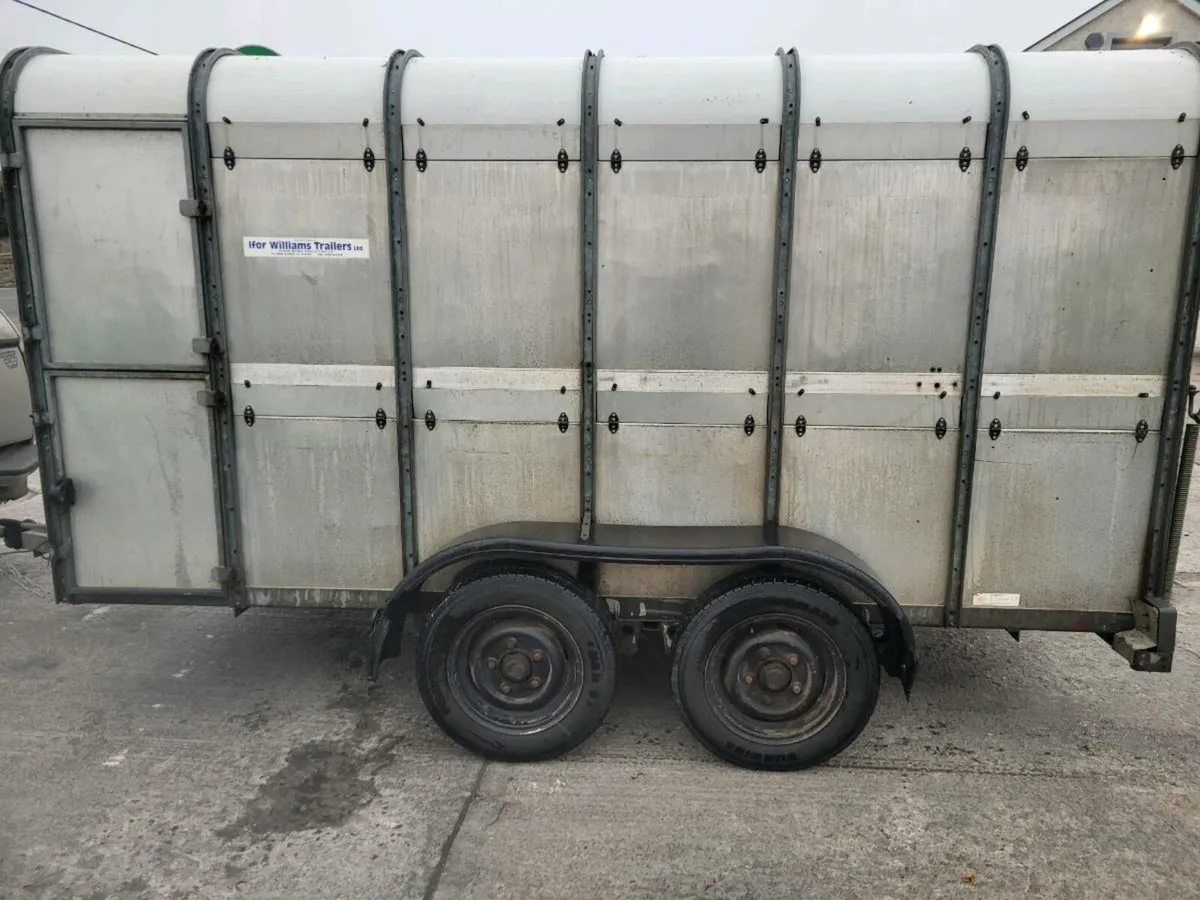 Ifor williams - Image 3