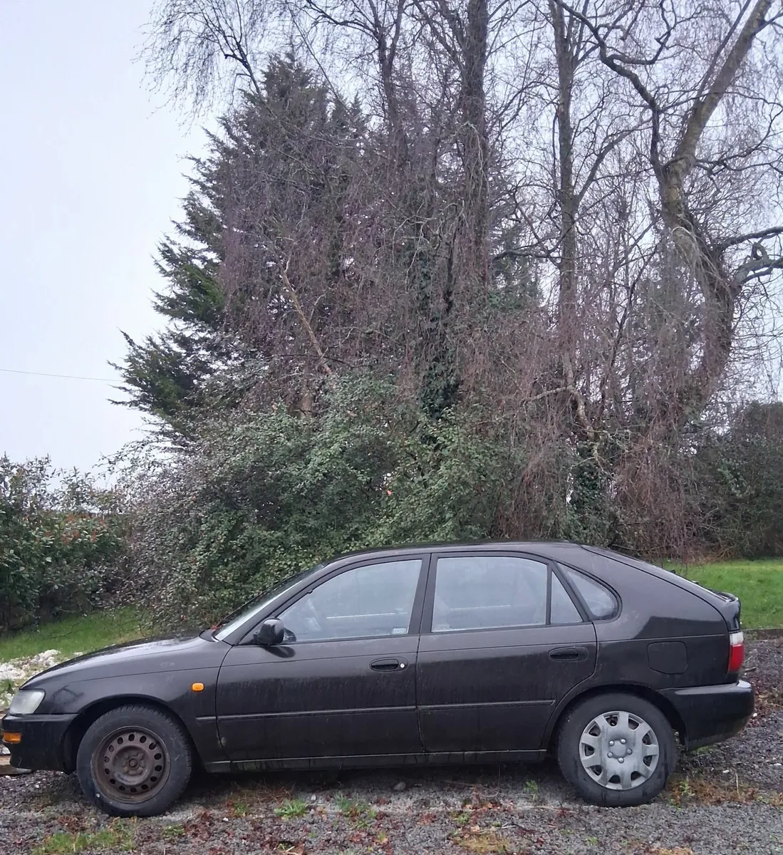 1997 Toyota Corolla Hatchback - Image 2