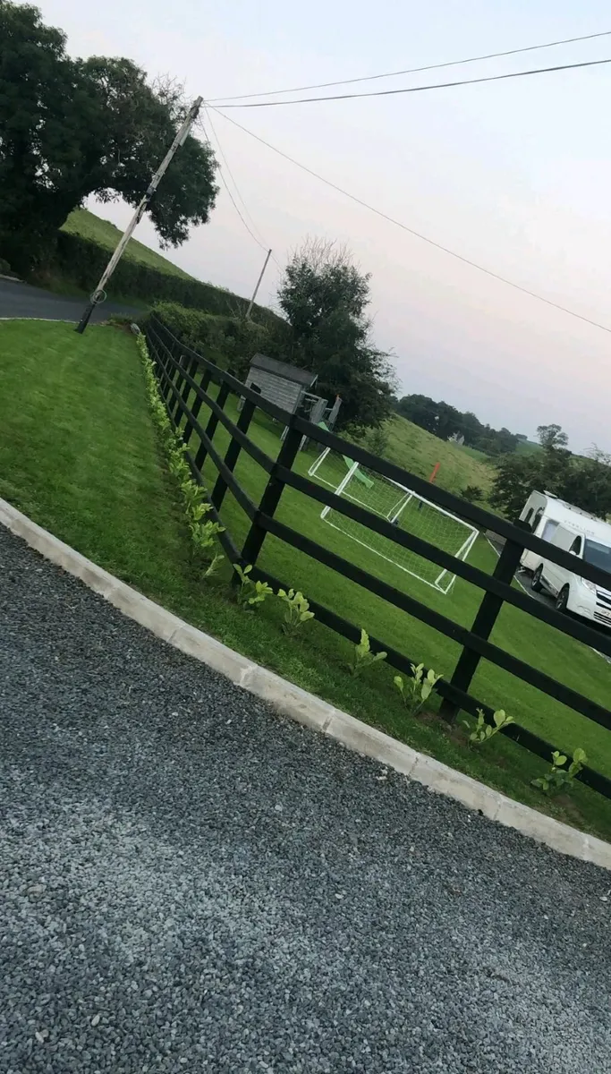 Laurel Hedging - Image 3