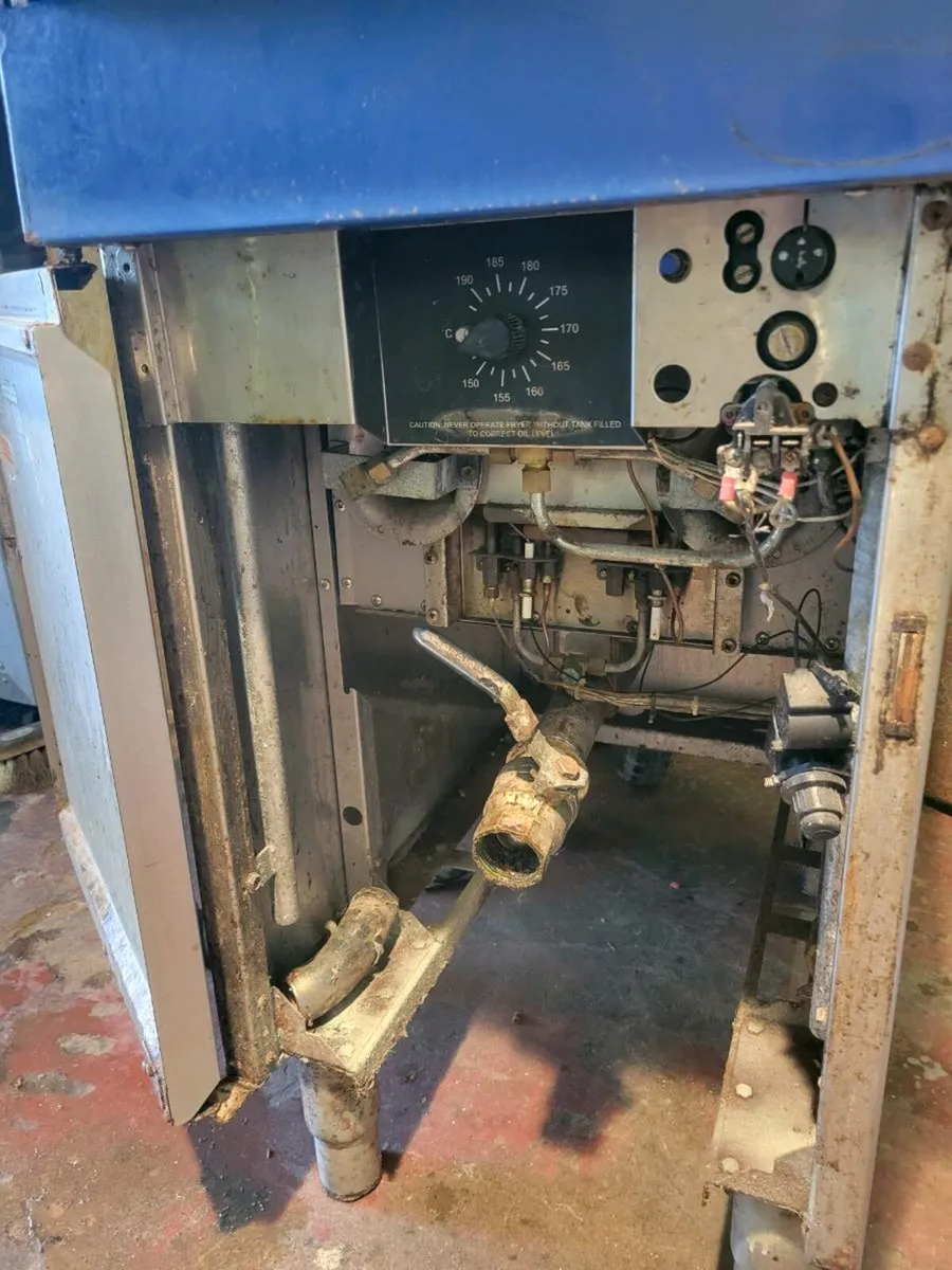 Fryer Natural Gas Single Tank BLUE SEAL - Image 4