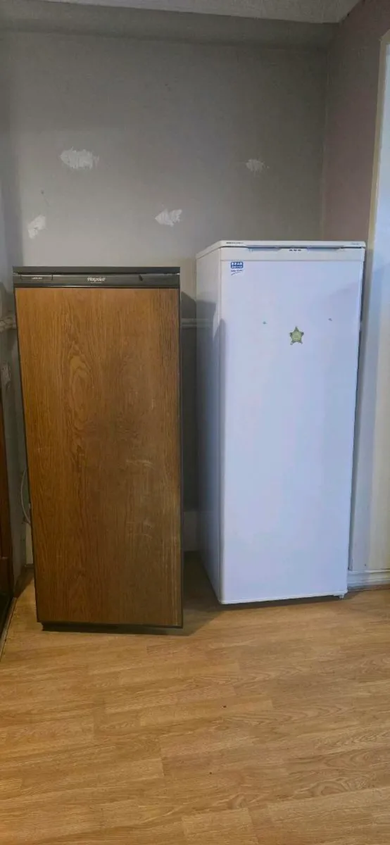 Fridge & Freezer - Image 1