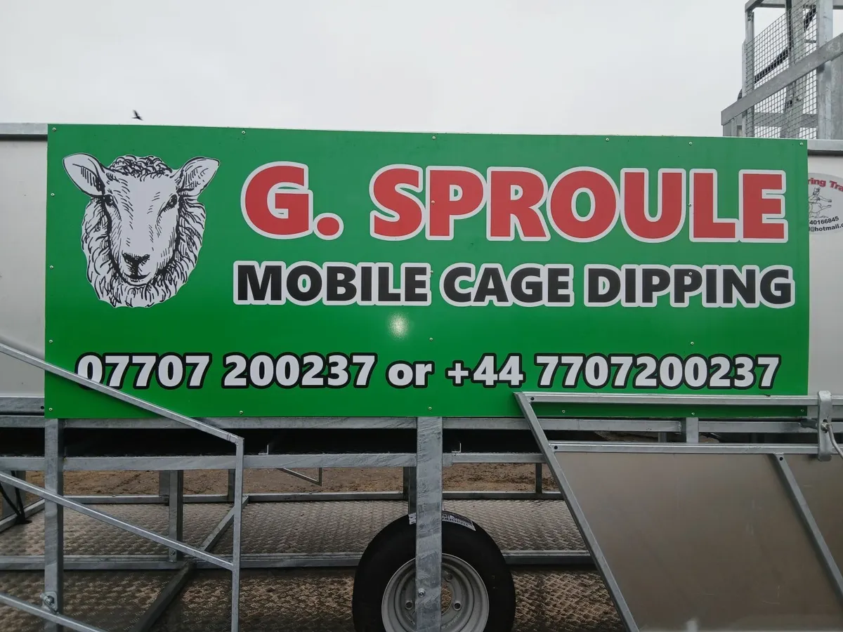 Mobile cage dipping sheep - Image 3