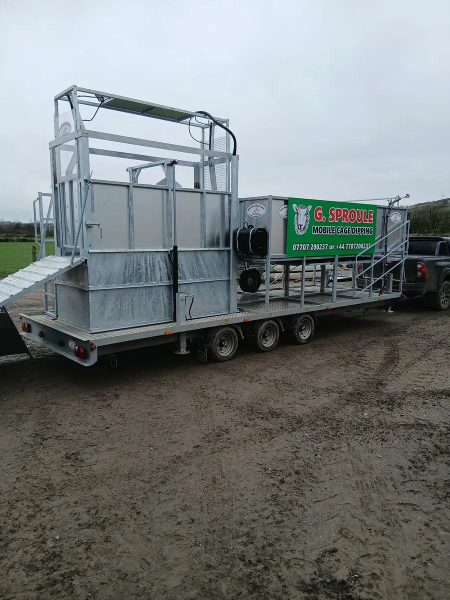 Mobile cage dipping sheep - Image 2