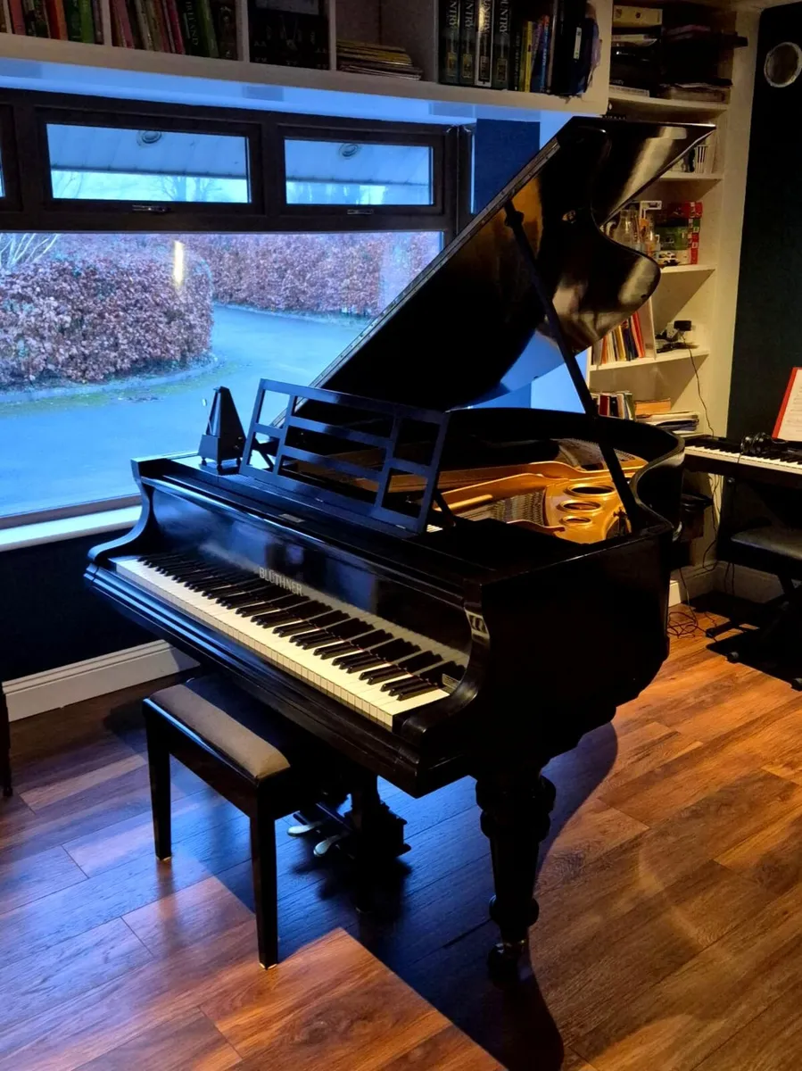 Bluthner Baby Grand Piano - Image 1