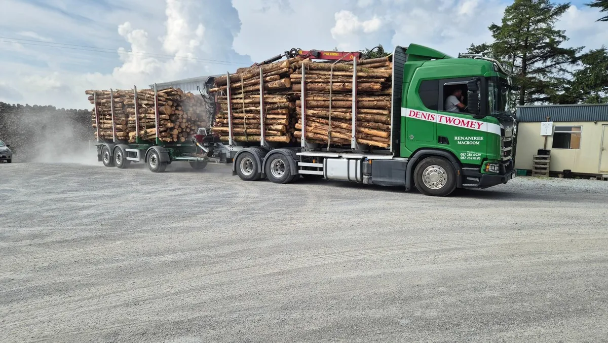 Chunky Firewood Limerick Kerry Cork - Image 1