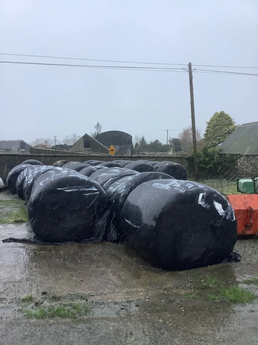 Silage Bales