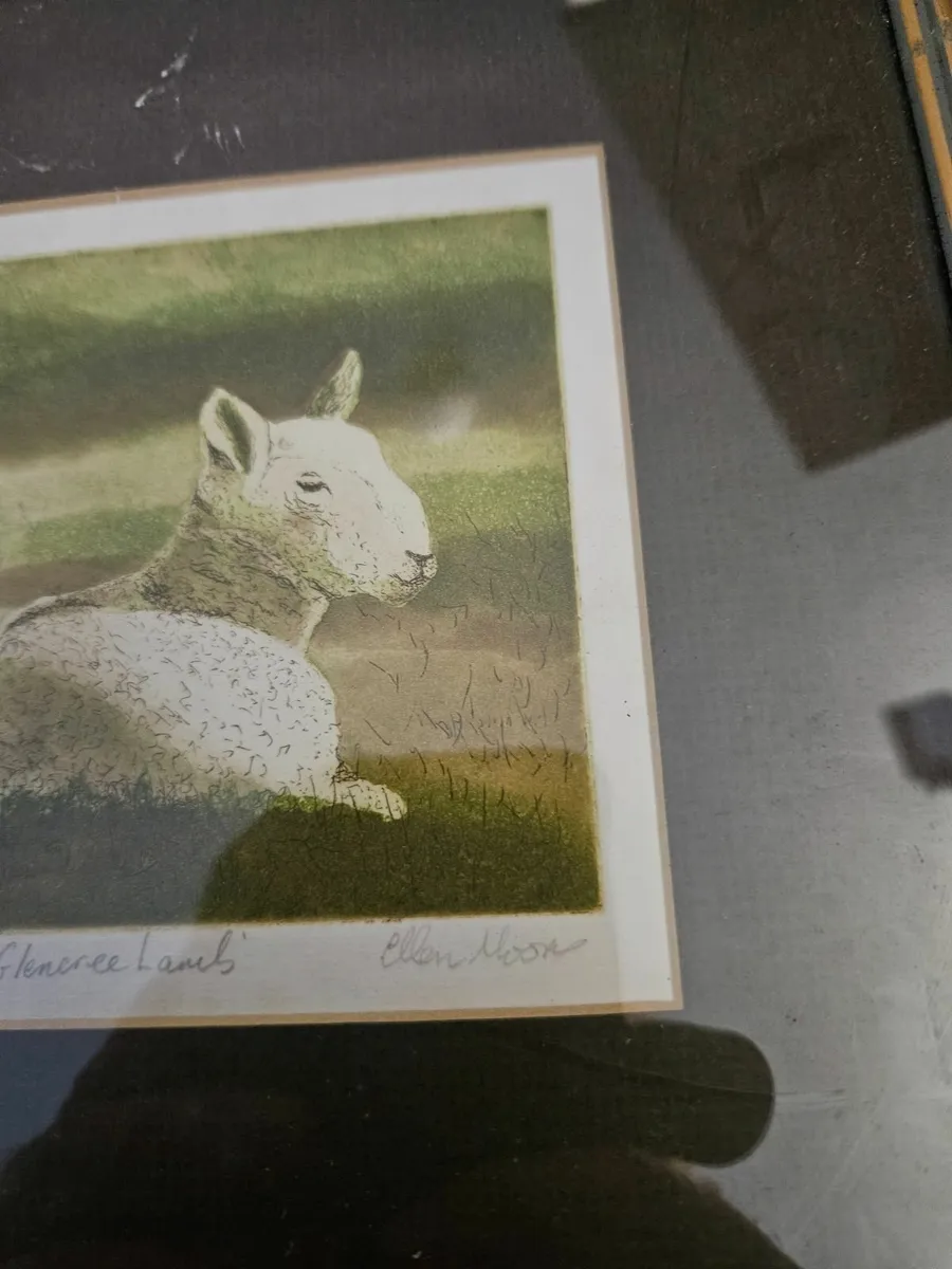 Picture Print Glencree Lambs Limited Edition - Image 3