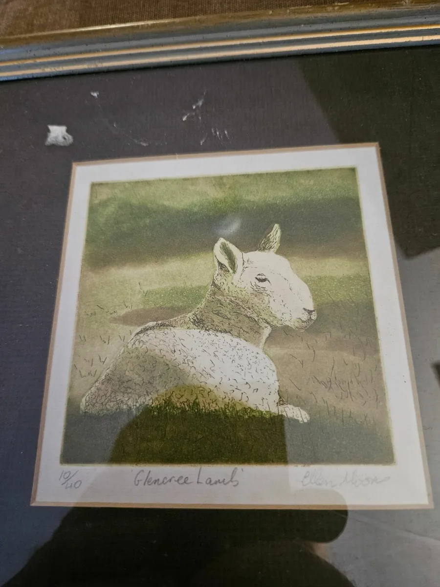 Picture Print Glencree Lambs Limited Edition - Image 2