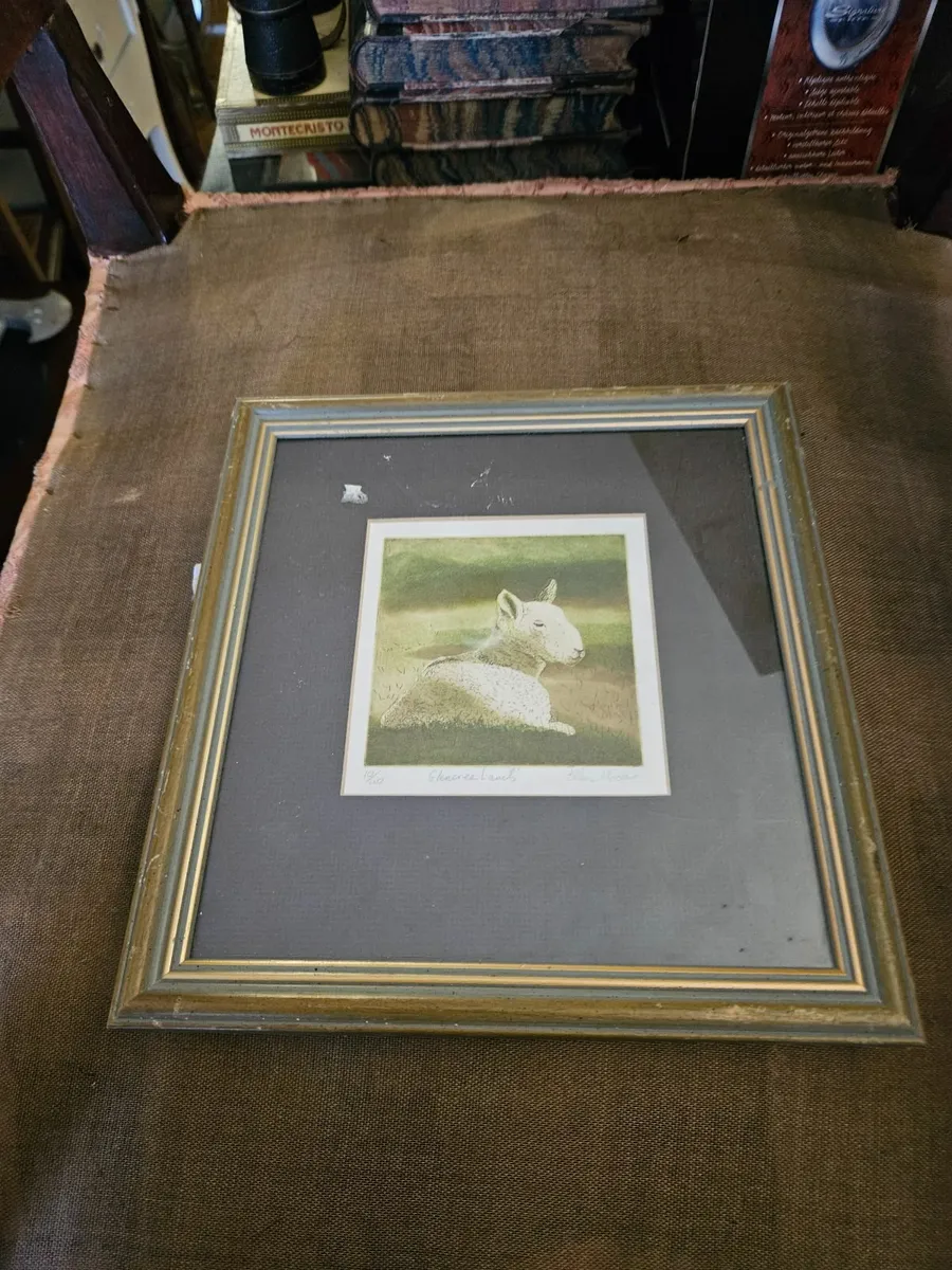 Picture Print Glencree Lambs Limited Edition - Image 1
