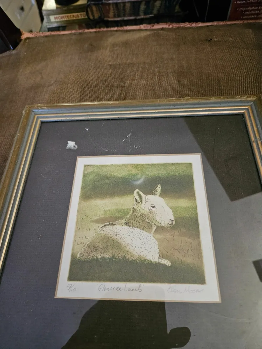 Picture Print Glencree Lambs Limited Edition - Image 4