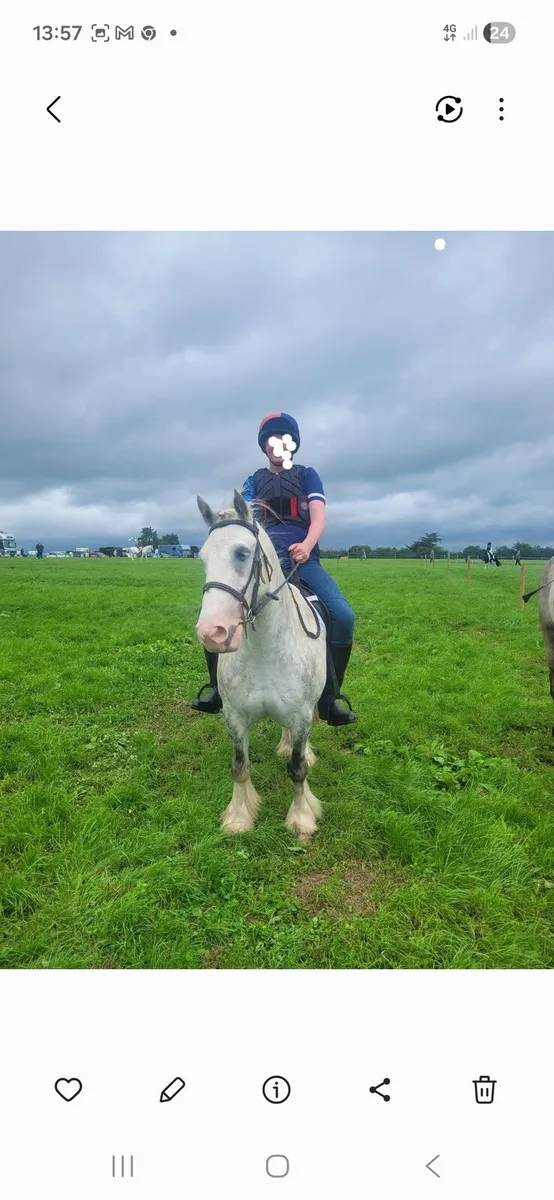 Pony Club Pony - Image 4