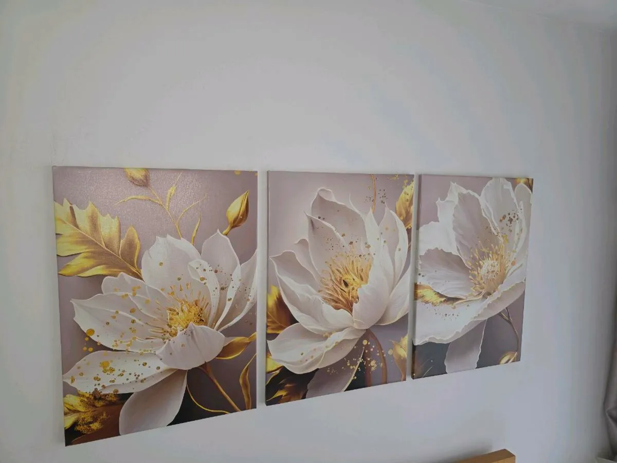 3 canvas 46x66cm - Image 1