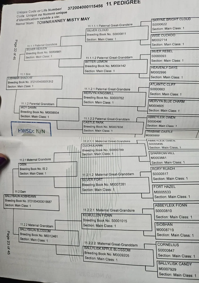 Lots 68 & 69 Friday 20th @ Clifden - Image 4