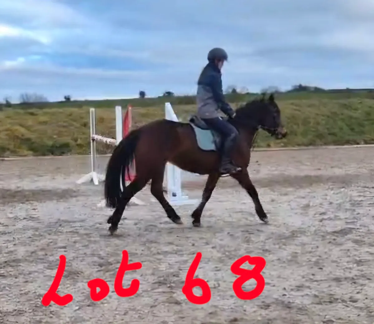 Lots 68 & 69 Friday 20th @ Clifden - Image 2