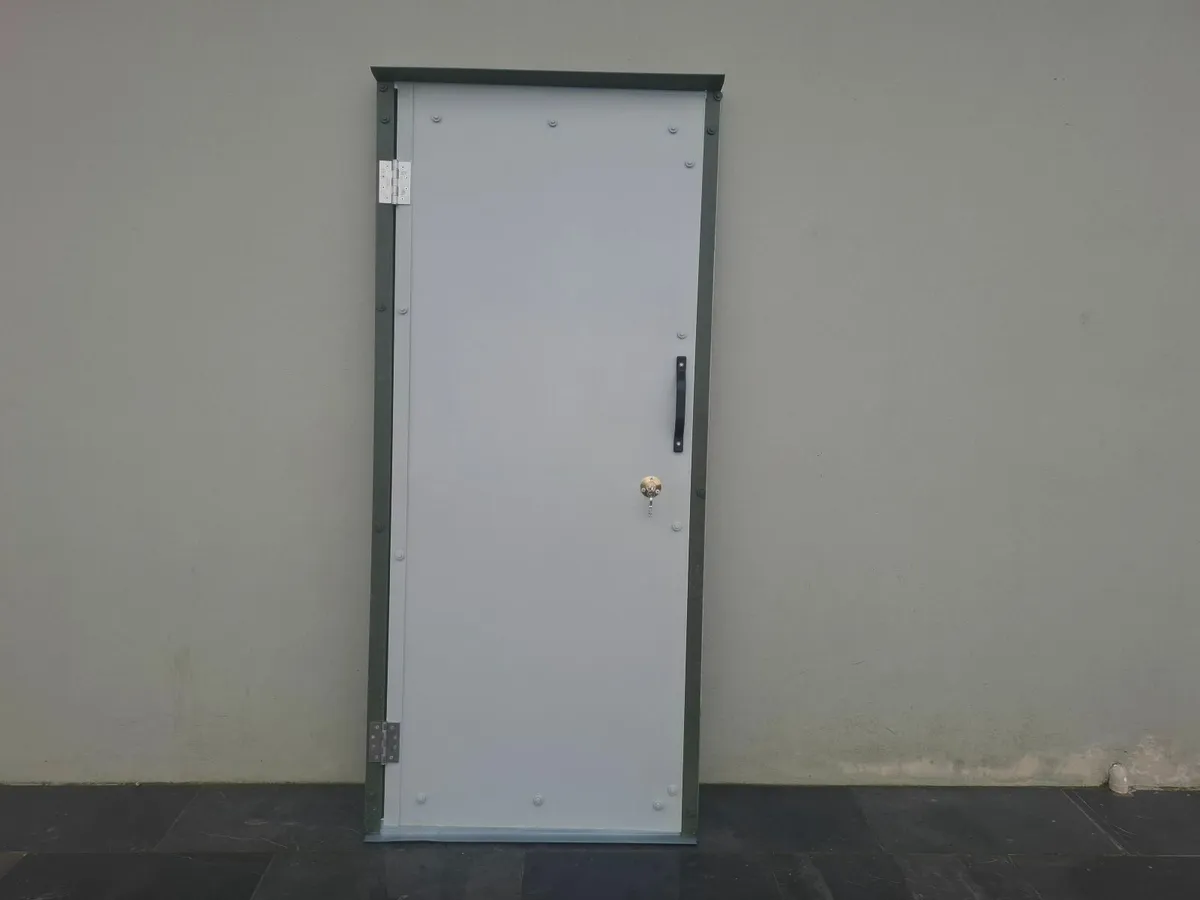 Steel door - Image 1