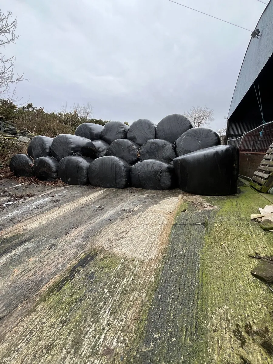 Round bales silage - Image 1
