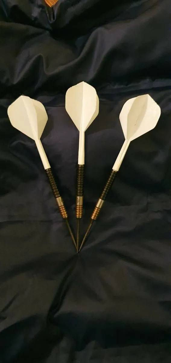 24g Ross Smith Darts - Image 1